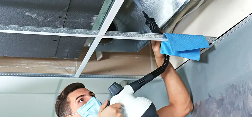 Our Air Duct Rodent Removal Services in Bend, OR