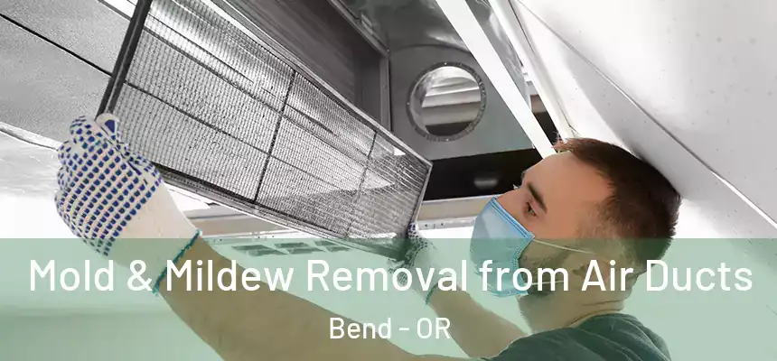  Mold & Mildew Removal from Air Ducts Bend - OR