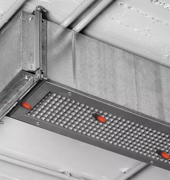 Affordable Insect Removal from Air Ducts in Bend, OR