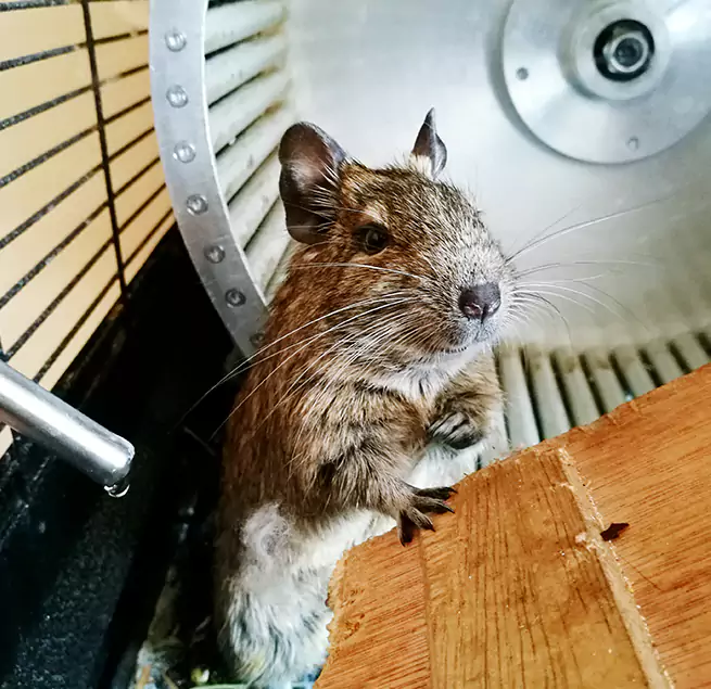 Why Homeowners & Businesses Trust Us Bend, OR